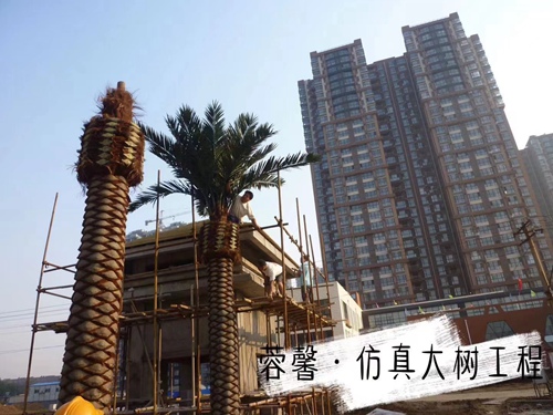 午夜免费观看视频大树